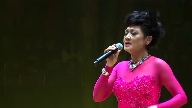 粤语-叶丽仪-肝胆相照(演唱会)_土豆视频