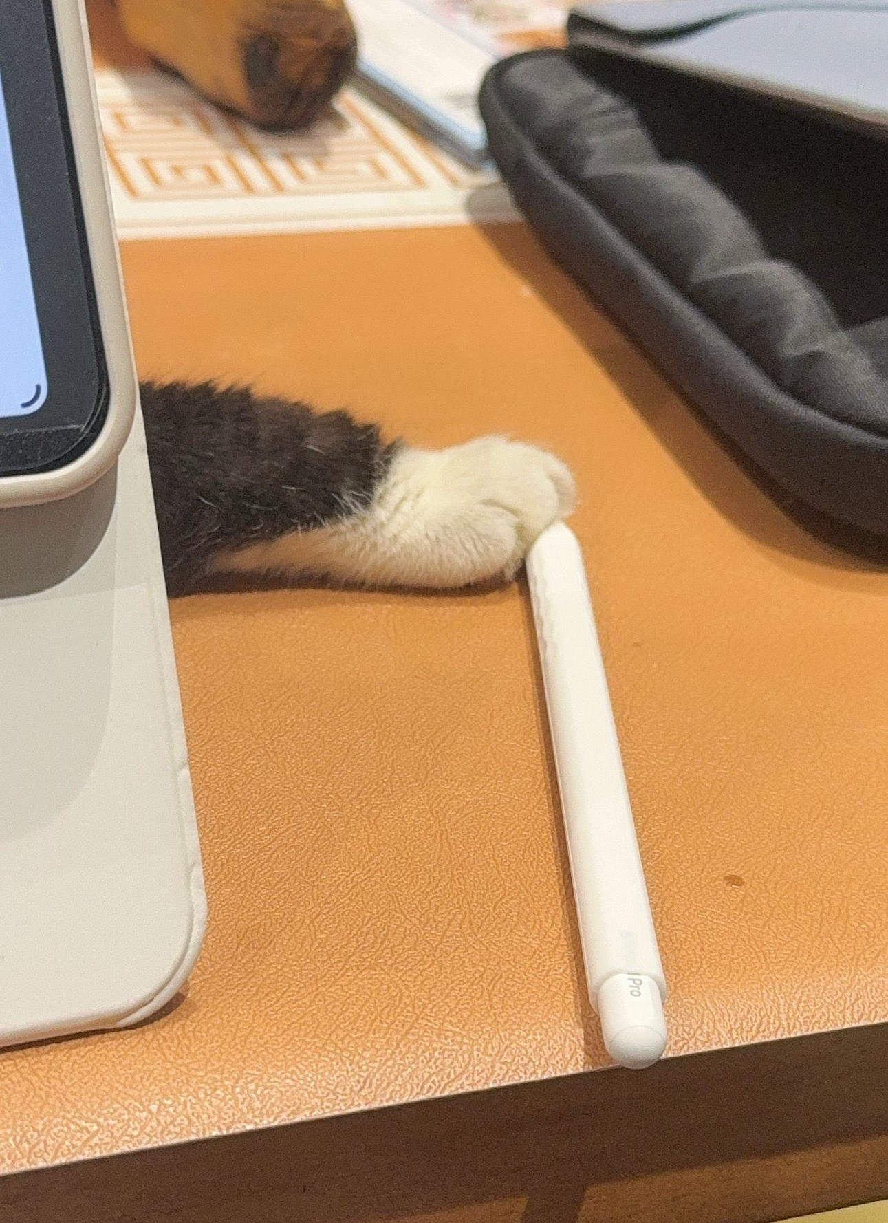 调色调调调到厌倦