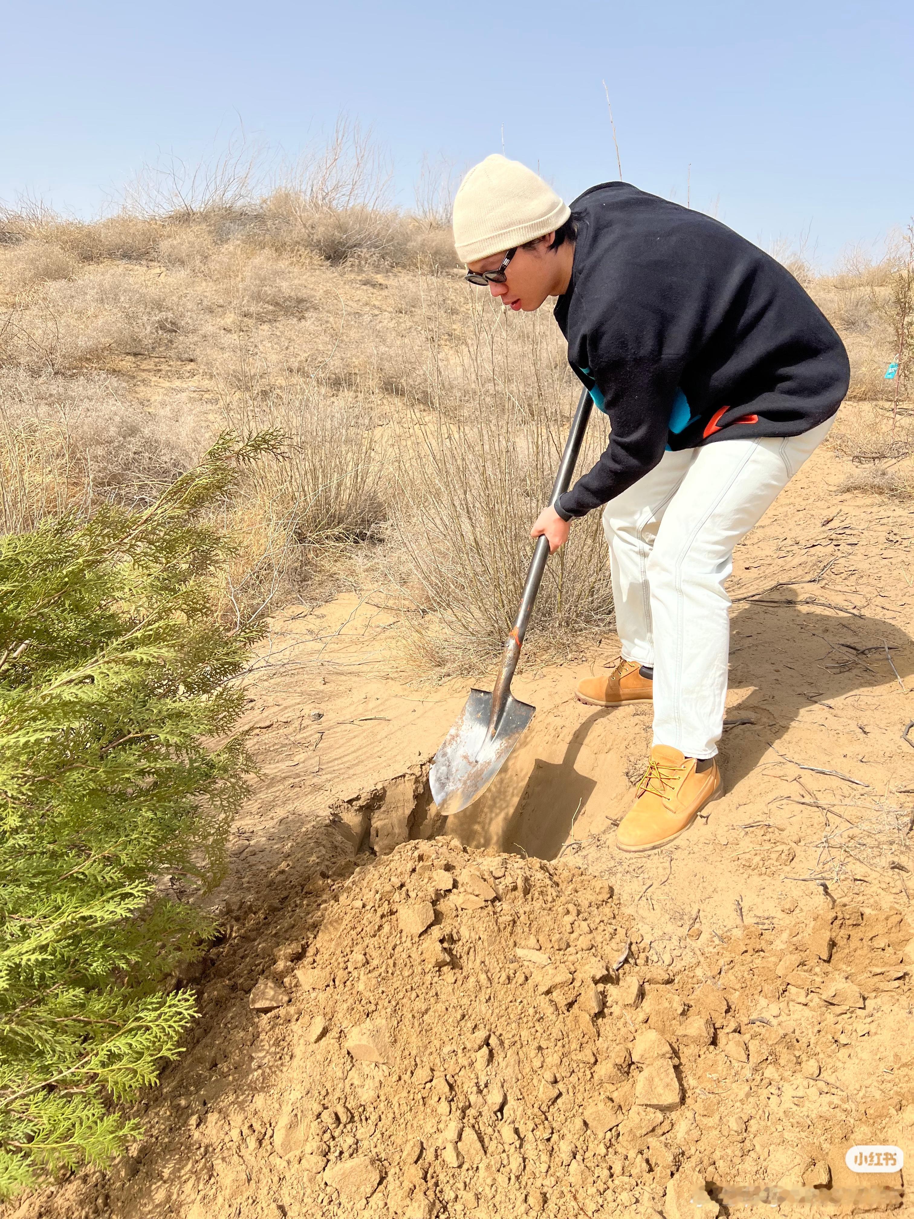以前总觉得沙漠就是寸草不生、黄沙漫天，谁能想到咱们硬生生把大片荒漠变成了绿洲。