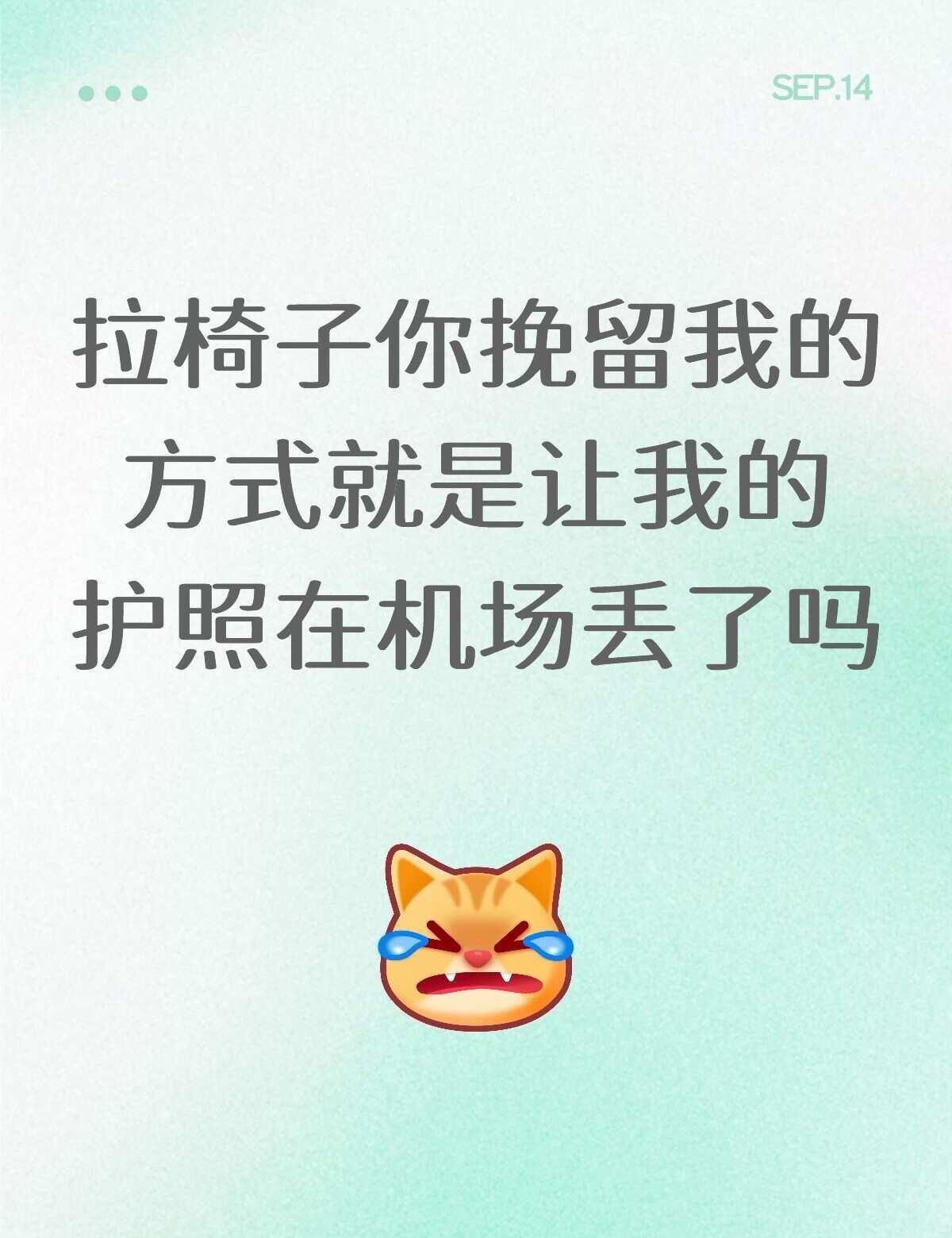 世界上最倒霉的人出现了。可这事最让人难受的，不只是护照找不到，而是明明在仁川
