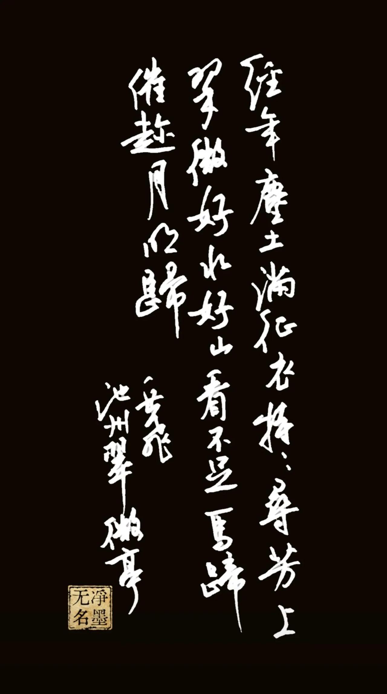 释文经年尘土满征衣，特特寻芳上翠微。好水好山看不足，马蹄催趁月明归。岳飞《