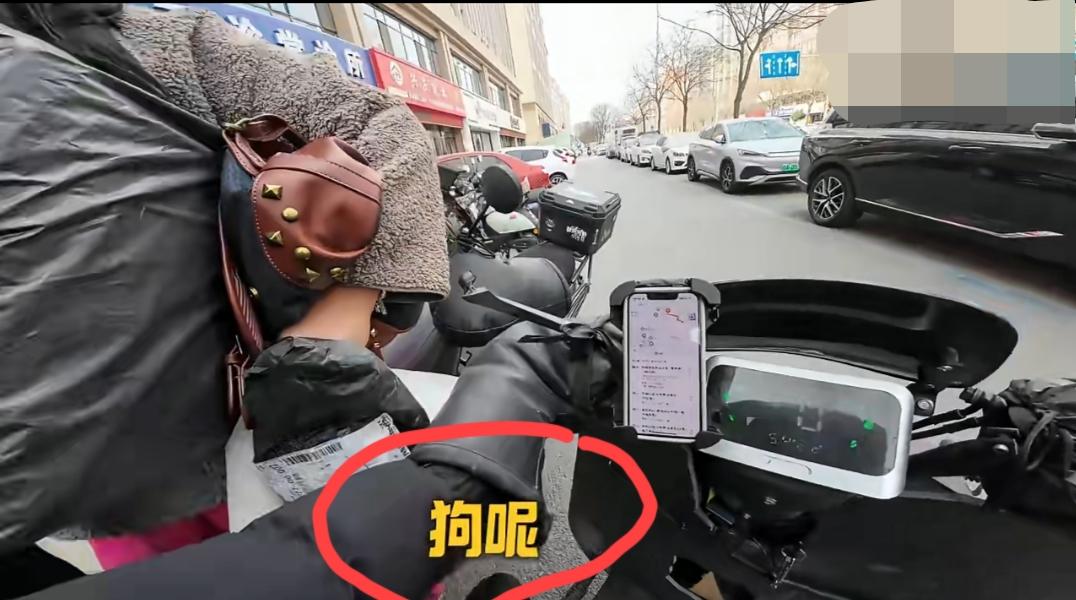 宁夏银川，外卖小哥发视频爆料:自己准备乘电梯送餐，电梯内一女子因带狗不愿同乘，主