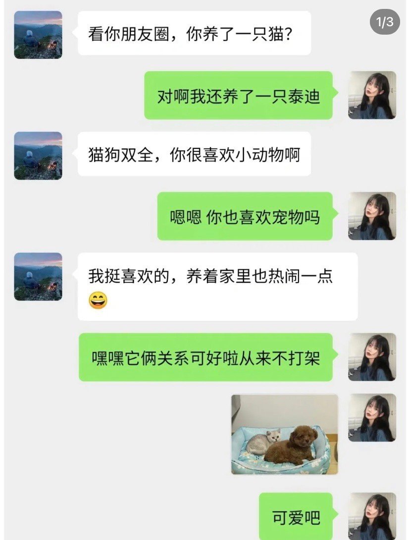 相亲对象说以后要把我的宠物送走😅！！！