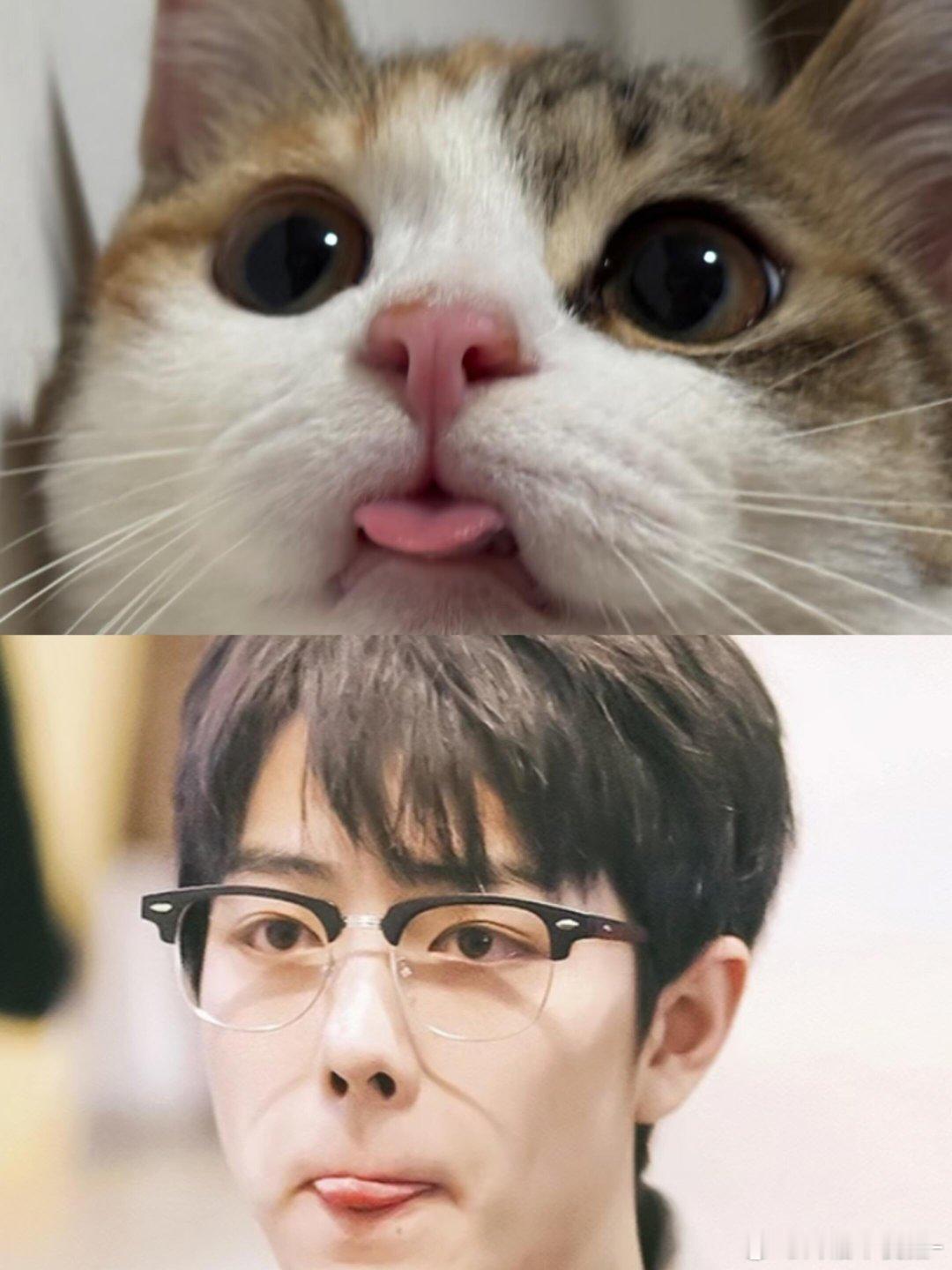 这个肖战吐舌头真的很萌！！！