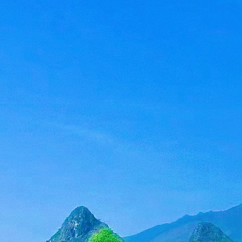 日行一善💚阳光信用慈善是有同情心的人们之间的互助行为，慈善是高尚人格的真