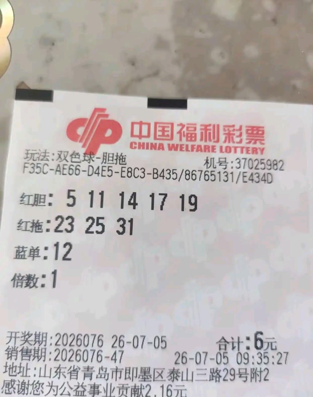 人人心里都清楚，绝大多数人到头来都只是陪跑的炮灰。明明知晓中奖概率微乎其微，千