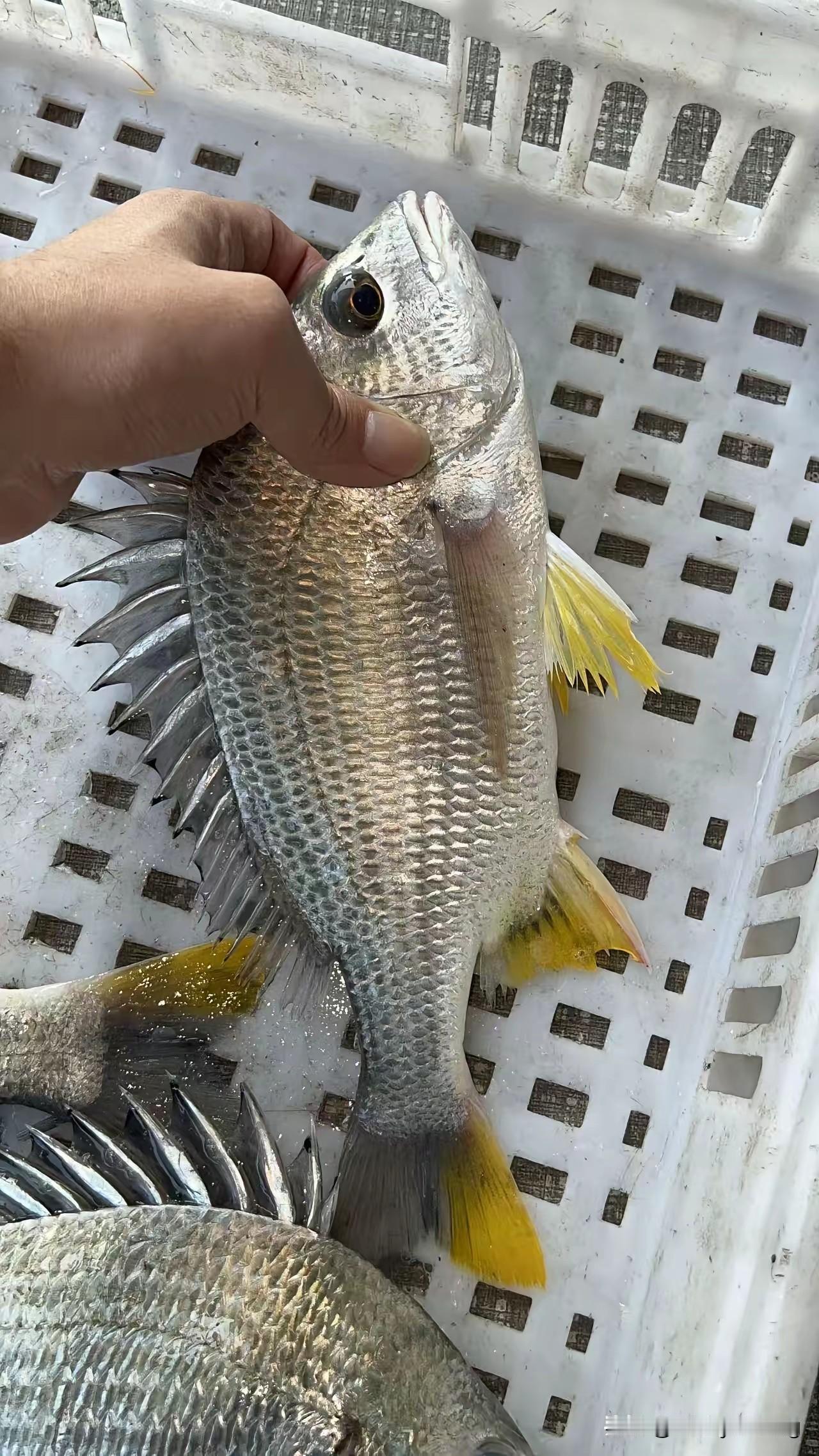 健康要放在首位啊！无论中老年还是年青人，务必远离下面这几个行为：久坐、久