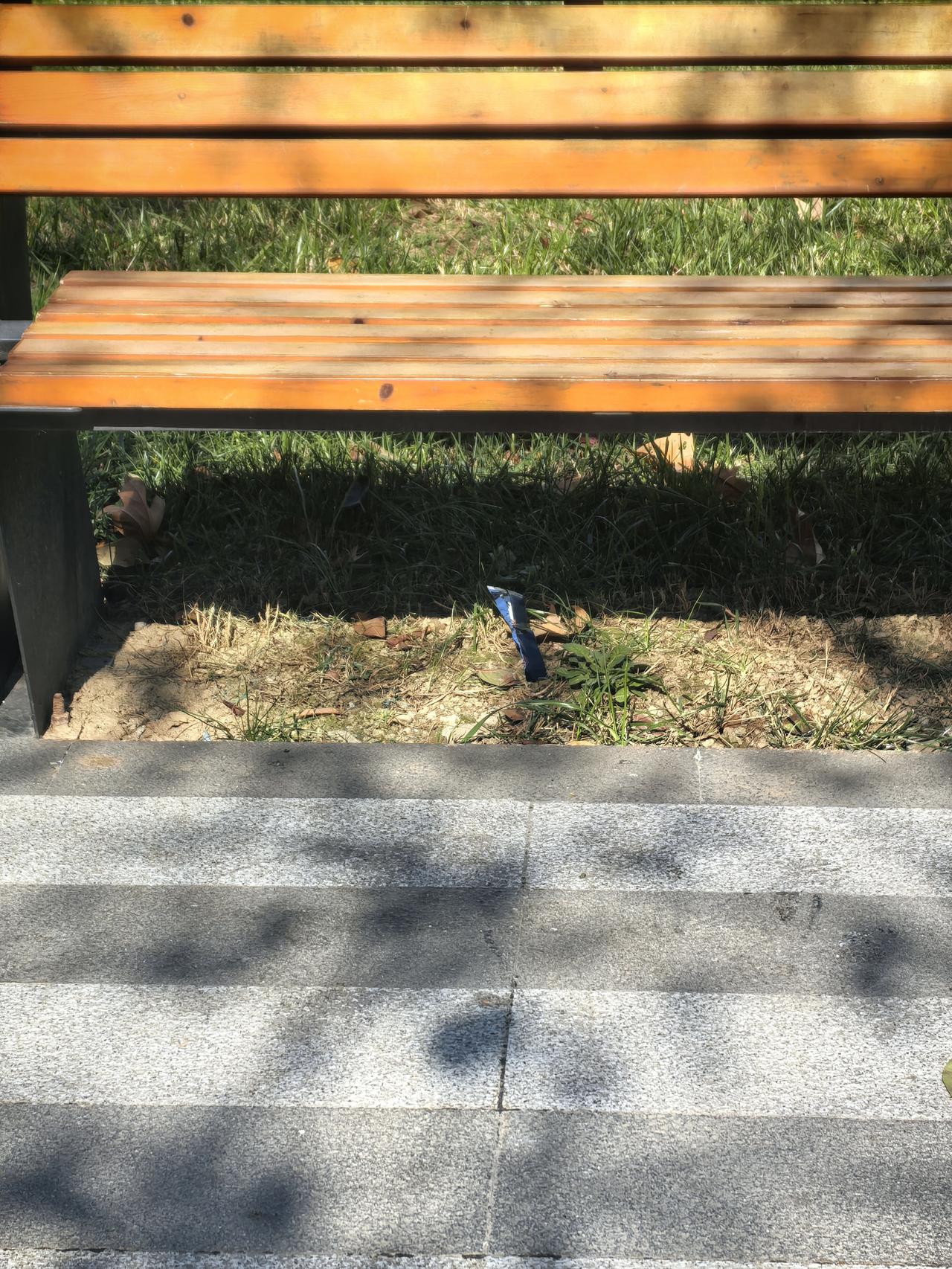 阳光下，好漂亮的鸟！[赞]咦？怎么在椅子下躲着？走进一看：我去……近视眼