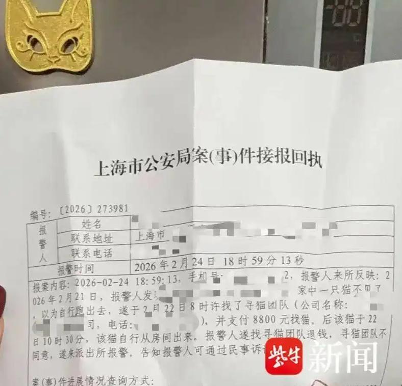 “亏大了！”2月21日，上海，一女子误以为自己的猫咪走失，便花了8800元请寻宠