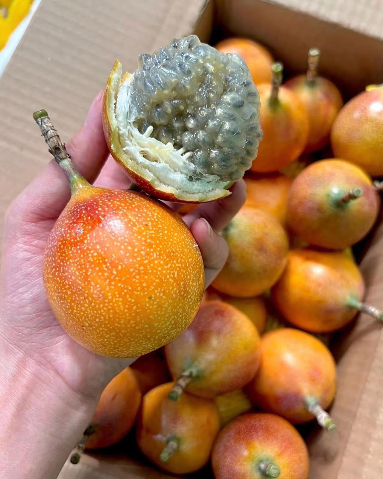 这第一次吃叫什么名字啊