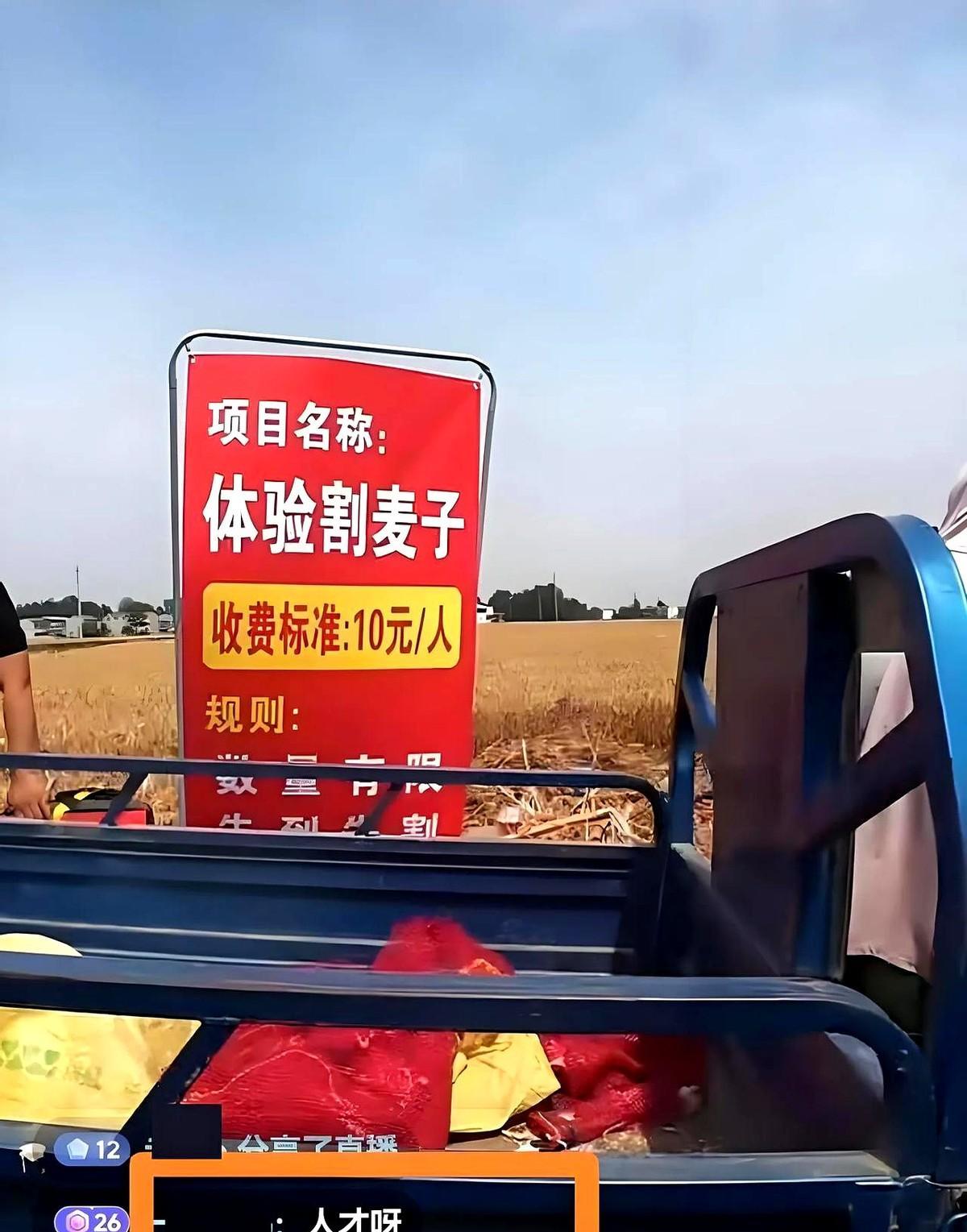 “真的花钱买罪受，你会去体验吗”？河南开封，5月27日，王先生在自家麦田搞了个