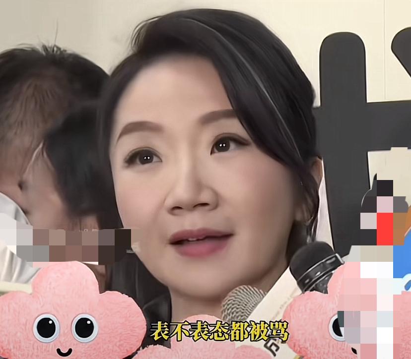 陶晶莹：我们台湾艺人最辛苦，表不表态都会被另一边的人骂。我想说你既然觉得表不