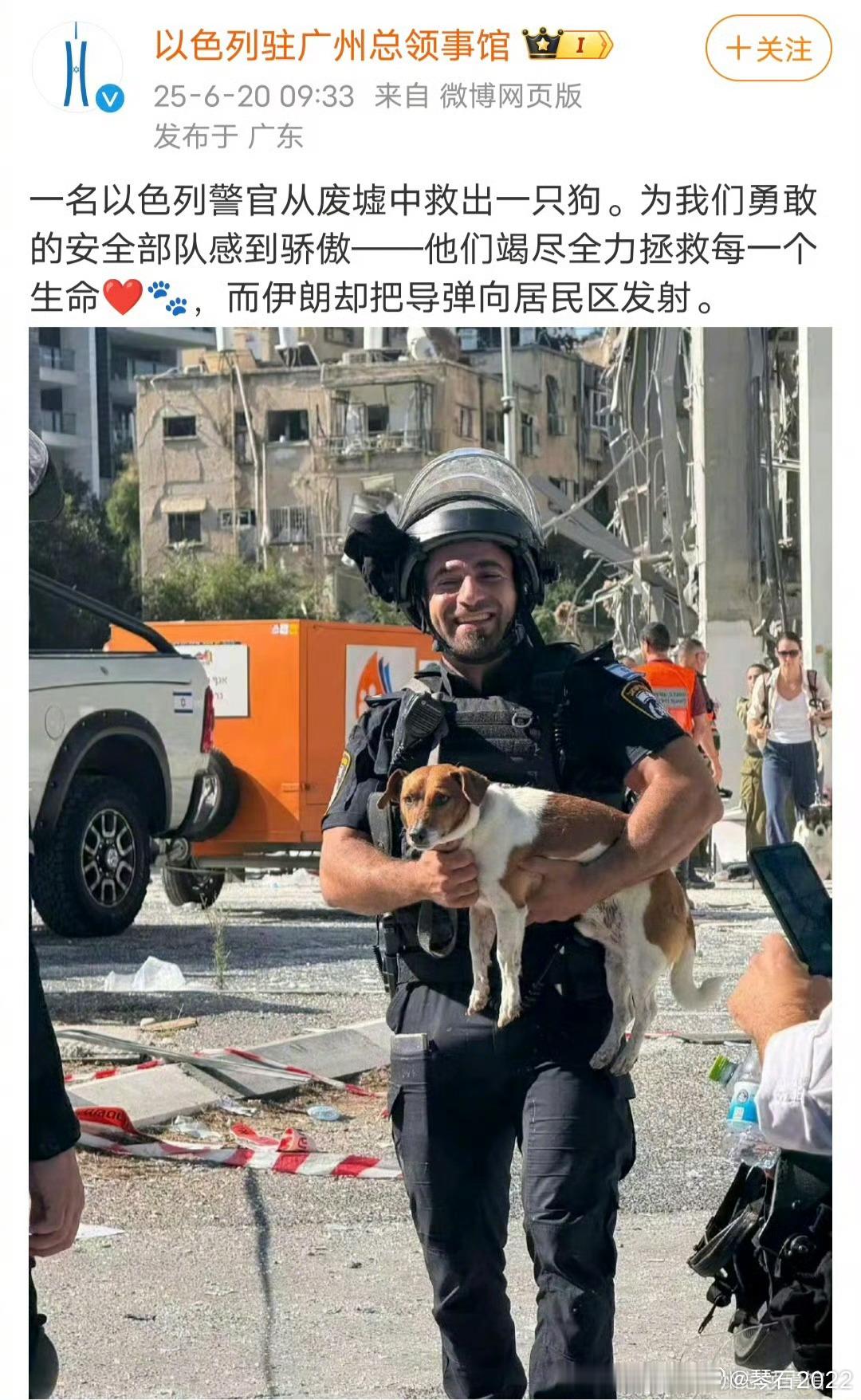 以色列警官从废墟中救出一只狗你们也太不要脸了热点观点这狗你说从废墟里救出来的？
