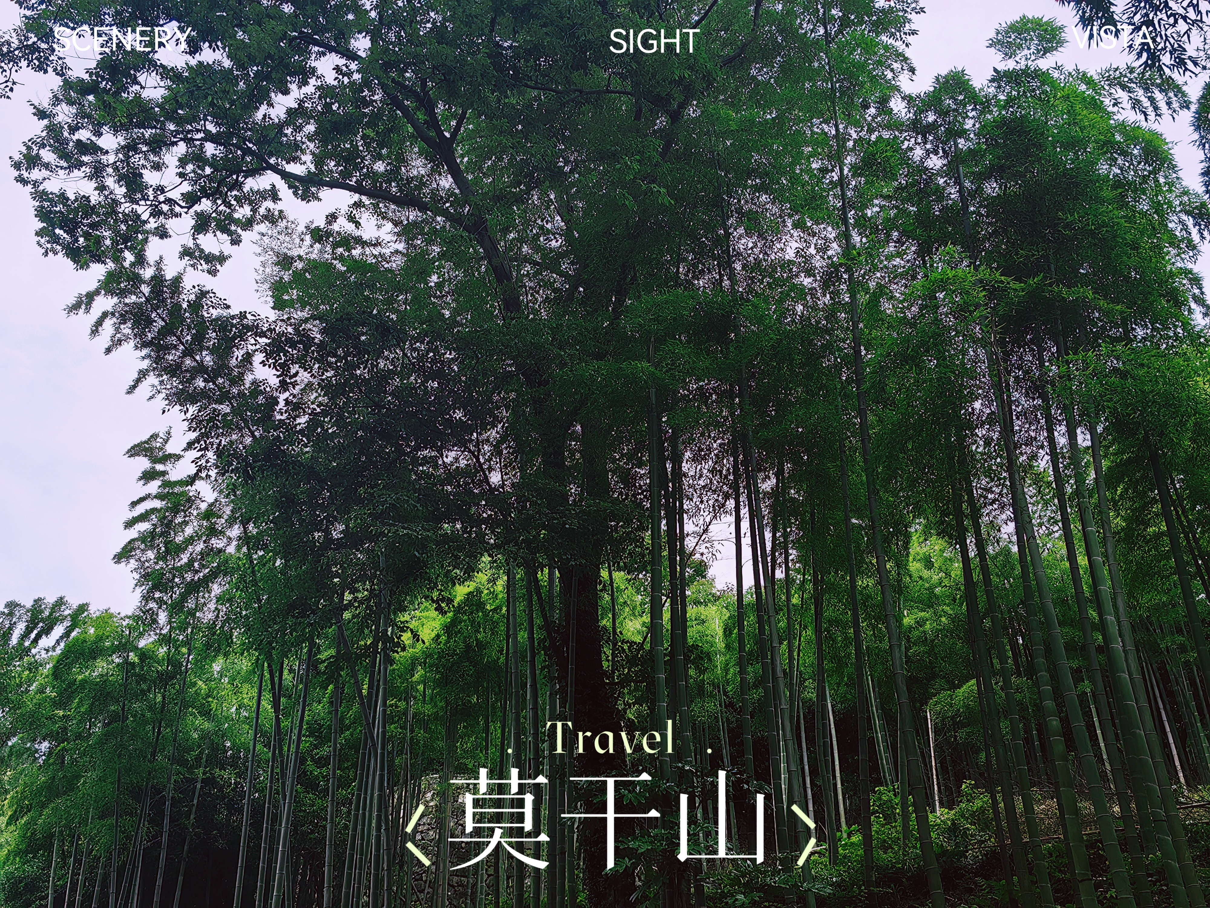 今日进山避暑真的好凉快啊！🍃湖州·莫干山风景名胜区