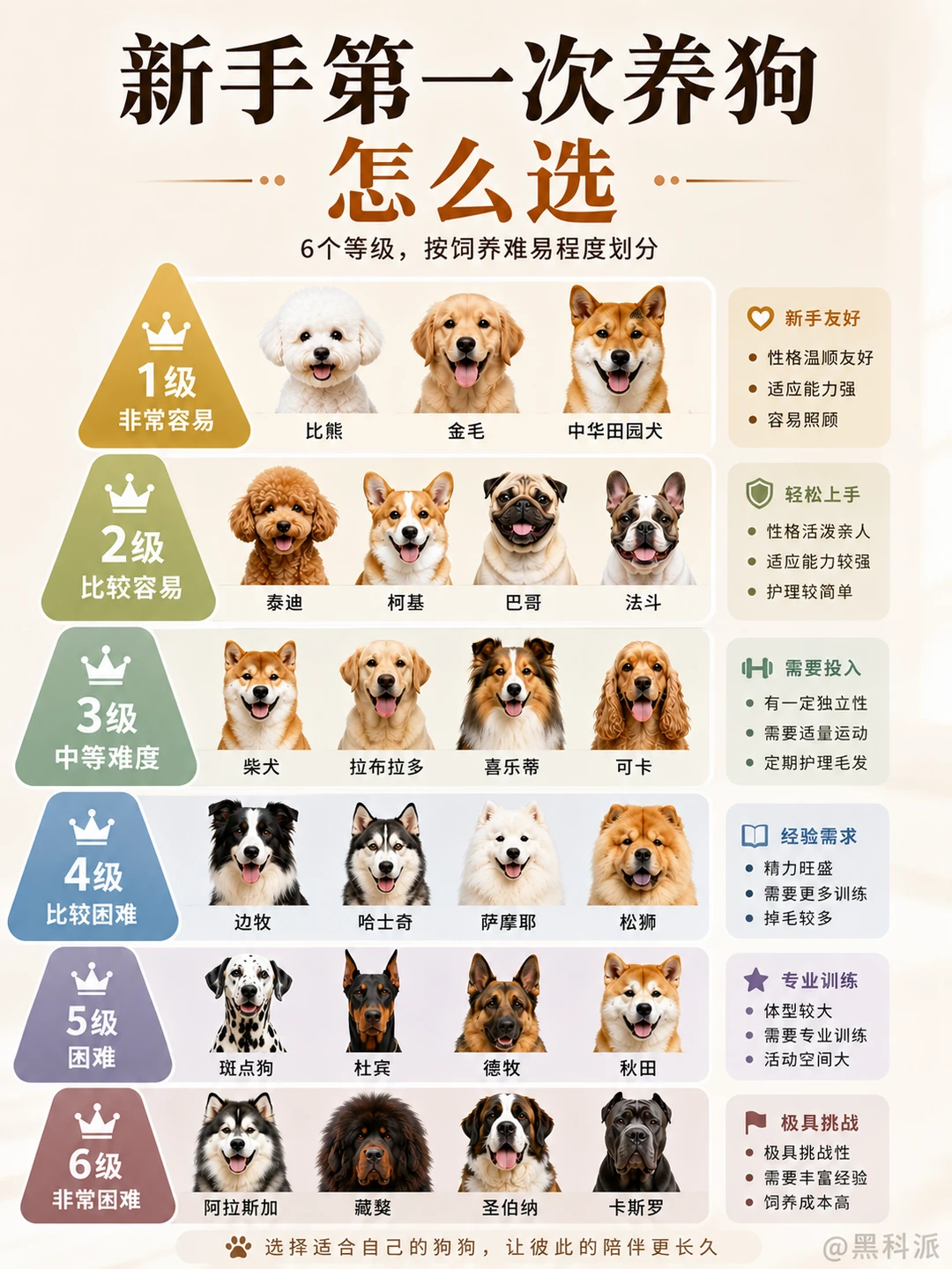 人生第一只狗狗怎么选？