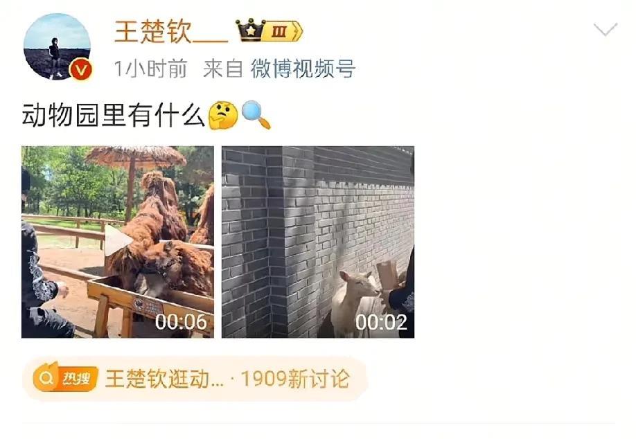 王楚钦：动物园里有什么？球迷：有我们以王楚钦孙颖莎名义认养的动物！[比心][比