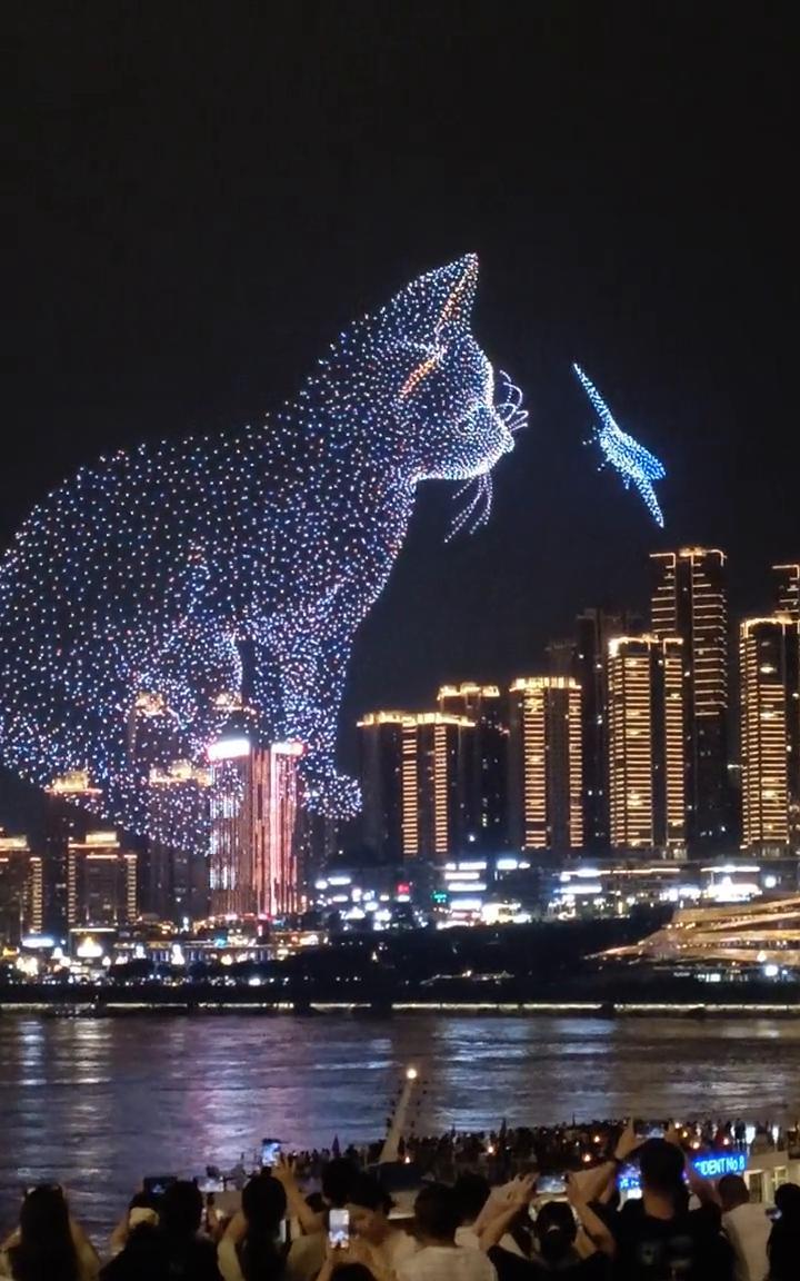 猫咪好可爱。这个猫咪真的好可爱，儿子你看它都很有立体感，你看那个猫咪好有力。