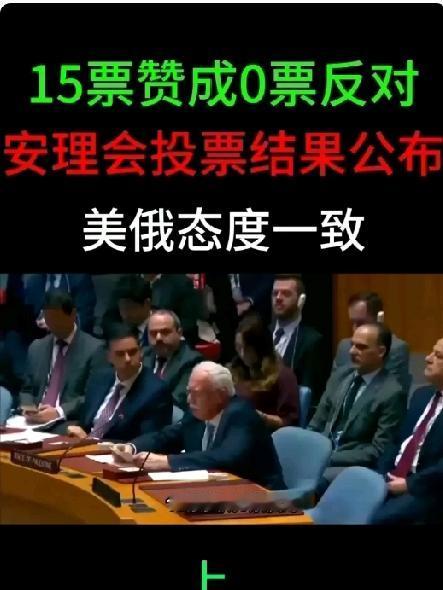 联大也有太阳从西边上来的时候：联合国安理会这次可是难得一致，全票通过联黎部队任
