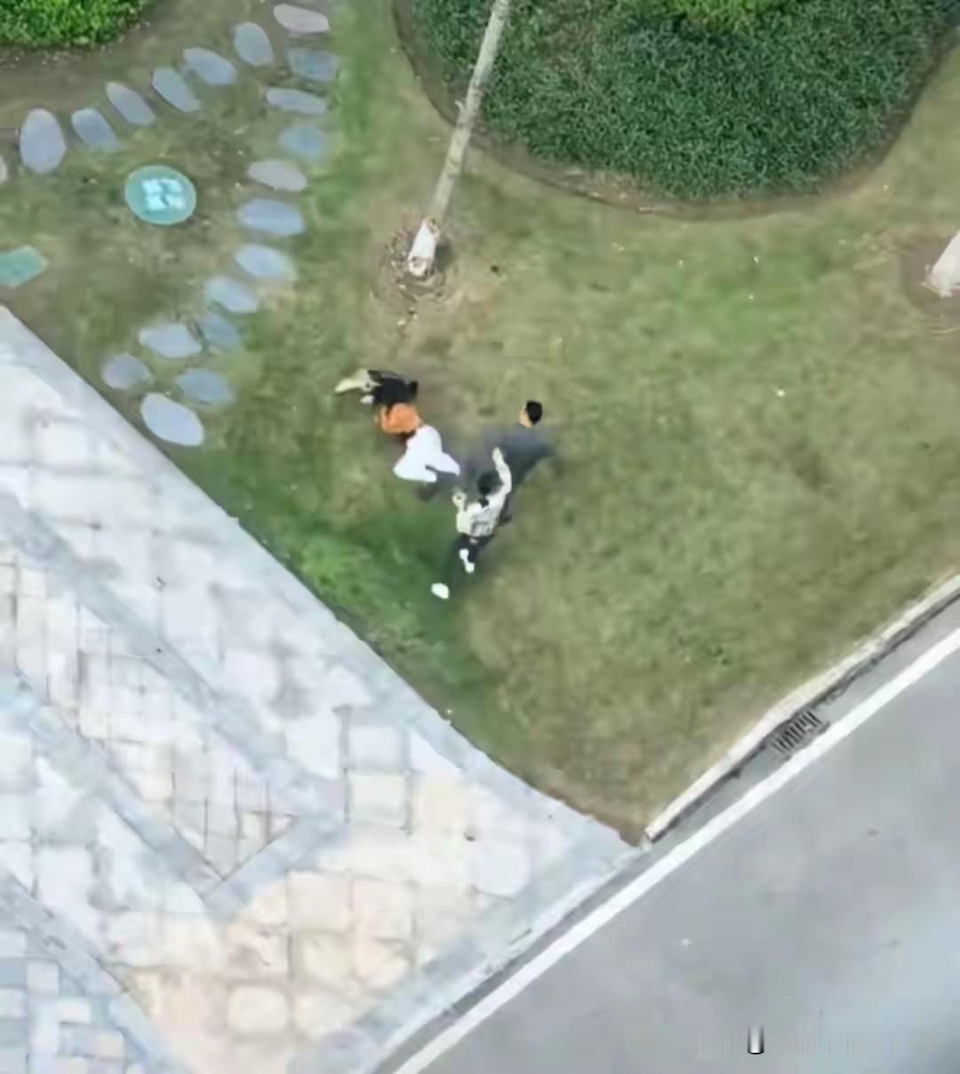 重庆遛狗女子被打后续来了被打女子也不是因为狗没有栓绳，而且狗也没吓到孩子，孩子