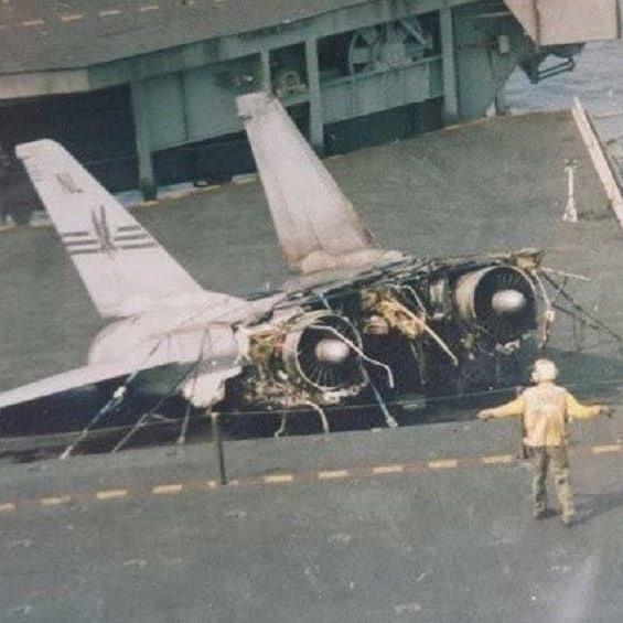 撕裂的“雄猫”