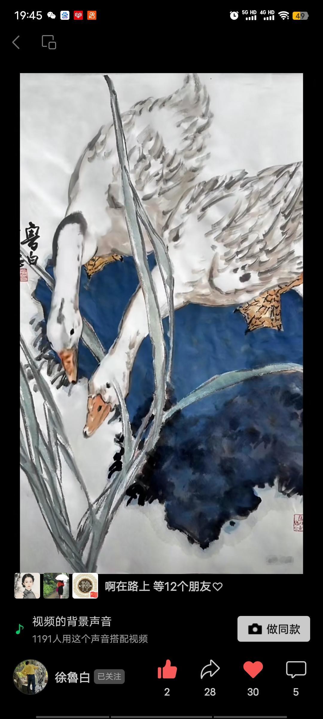 徐鲁白写意花鸟画感受国画的意境之美带你走进画里国风古韵在大自然中感受中国画