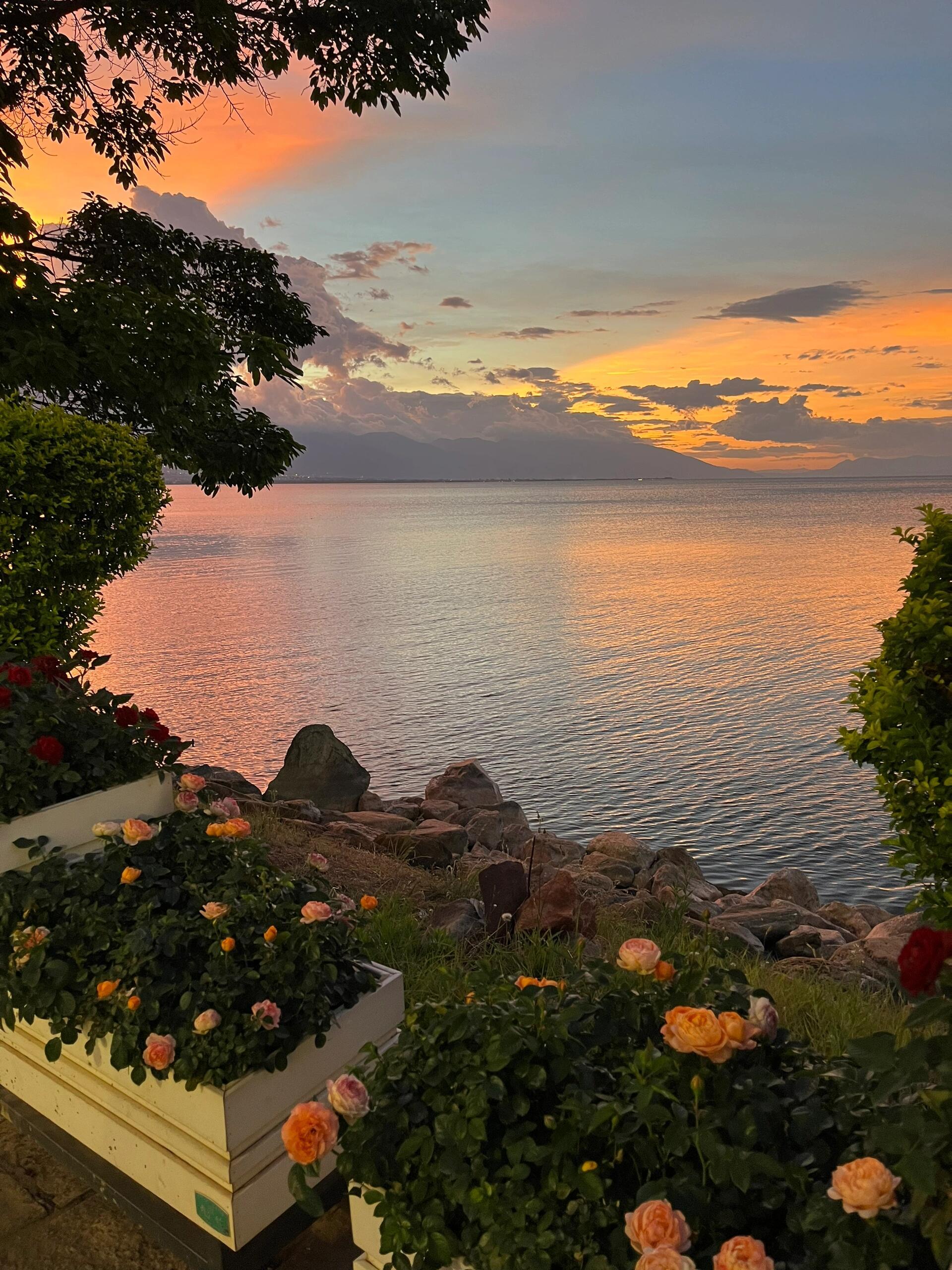 洱海的浪漫