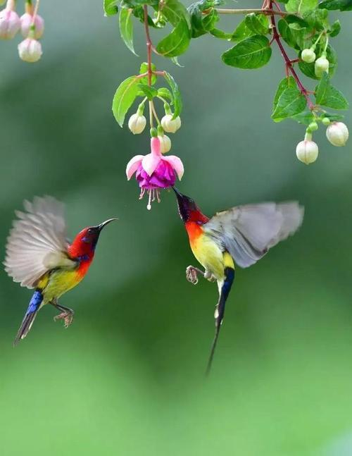 一年四季都有其独特的美景，哪个季节最美取决于个人的喜好和感受。以下是对四季美景的