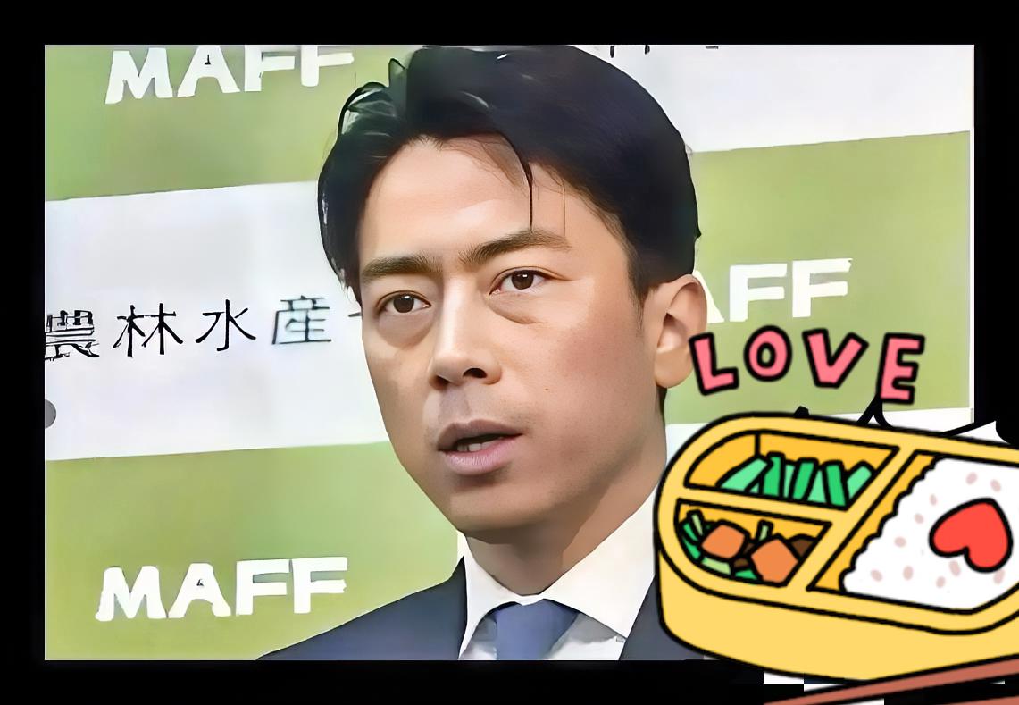 就在刚刚，日本政界人士突然宣布——2025年11月18日，有政界人士在记者会上表