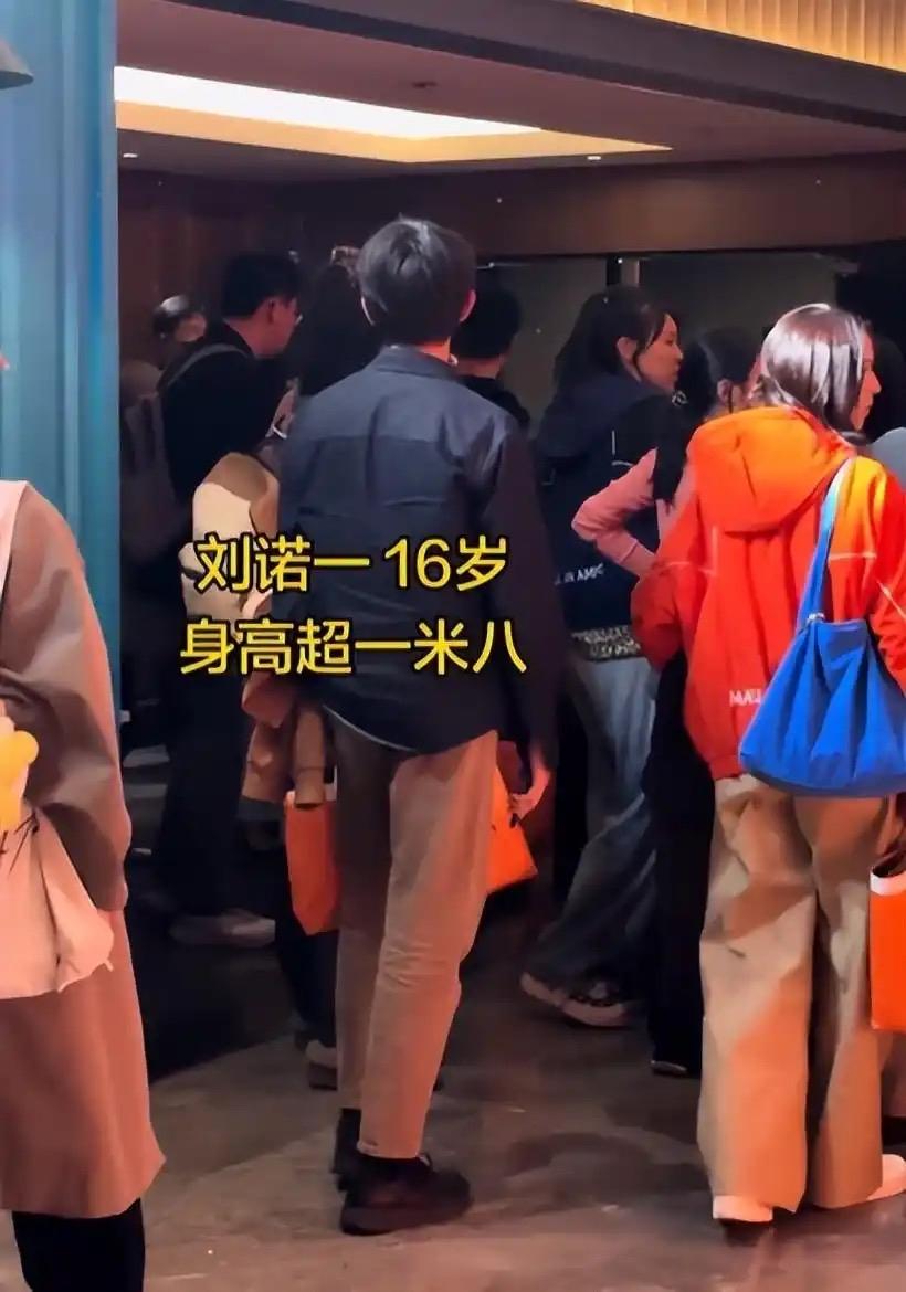 当年《爸爸去哪儿》里喊"爱爸爸80秒"的小诺一，一眨眼16岁了！近日刘烨儿子