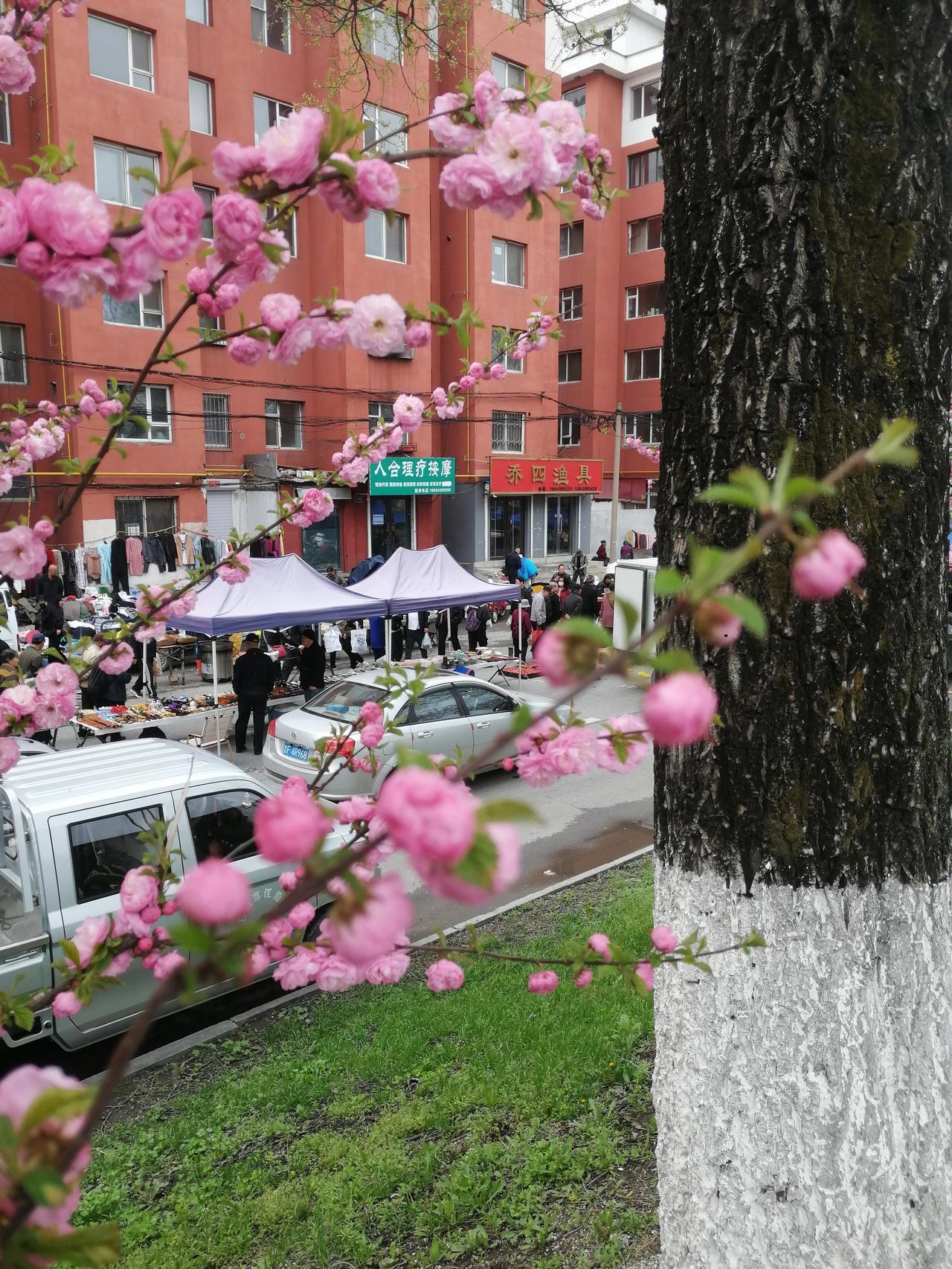 上联：年年顺顺利利我对下联：下联：天天开开心心此下联“天天”对“年年”