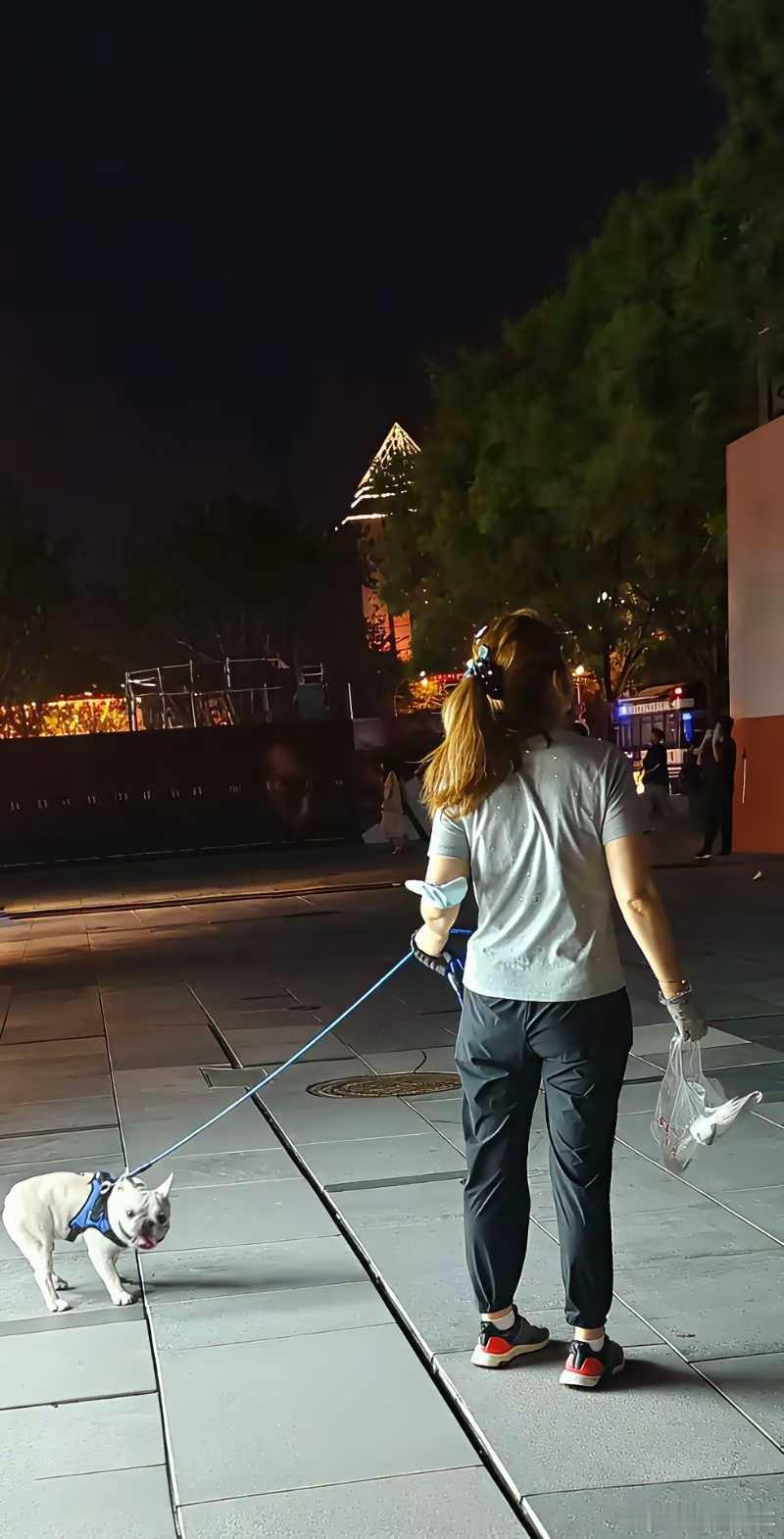 隔壁邻居是个大龄剩女，41岁了还没结婚，养了两条狗，整天儿子儿子的叫着。昨天出去