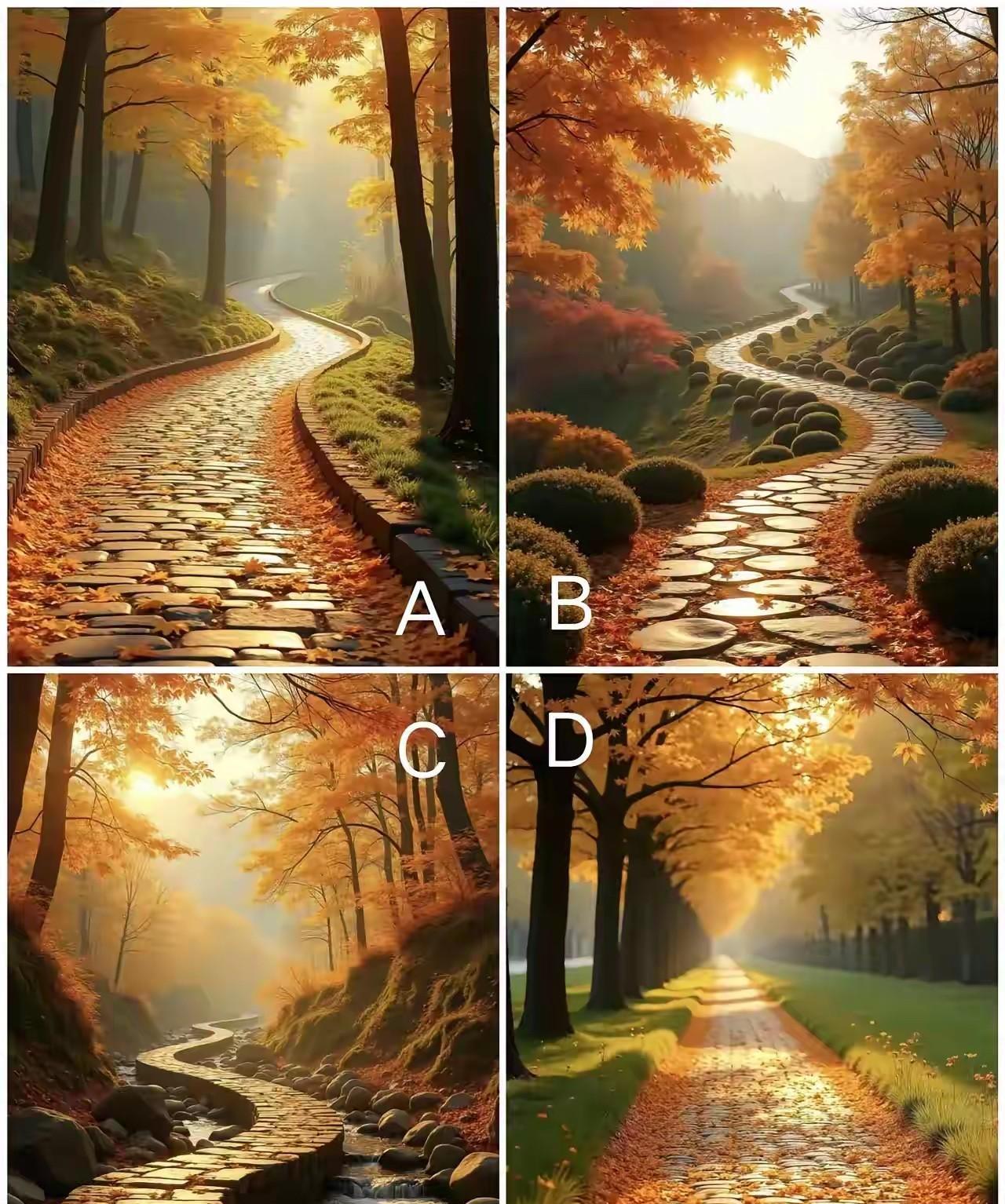 测测你命中注定会发生什么奇迹？凭你第一眼，选择一条你希望走的路！此为趣味小测