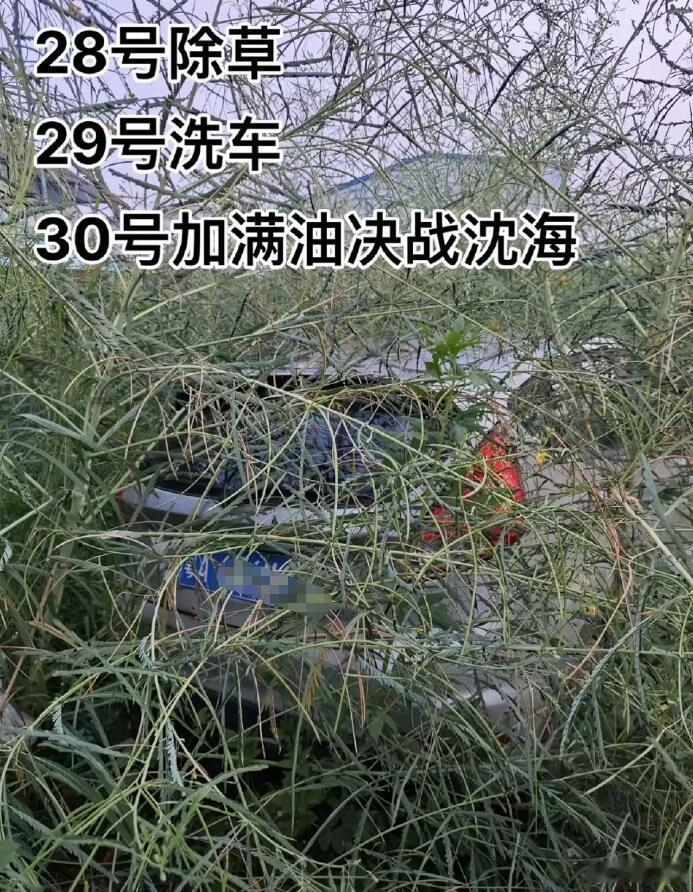 28号除草，29号洗车，30号决战高速！这段子不错，一年两箱油的老铁们集体出发，