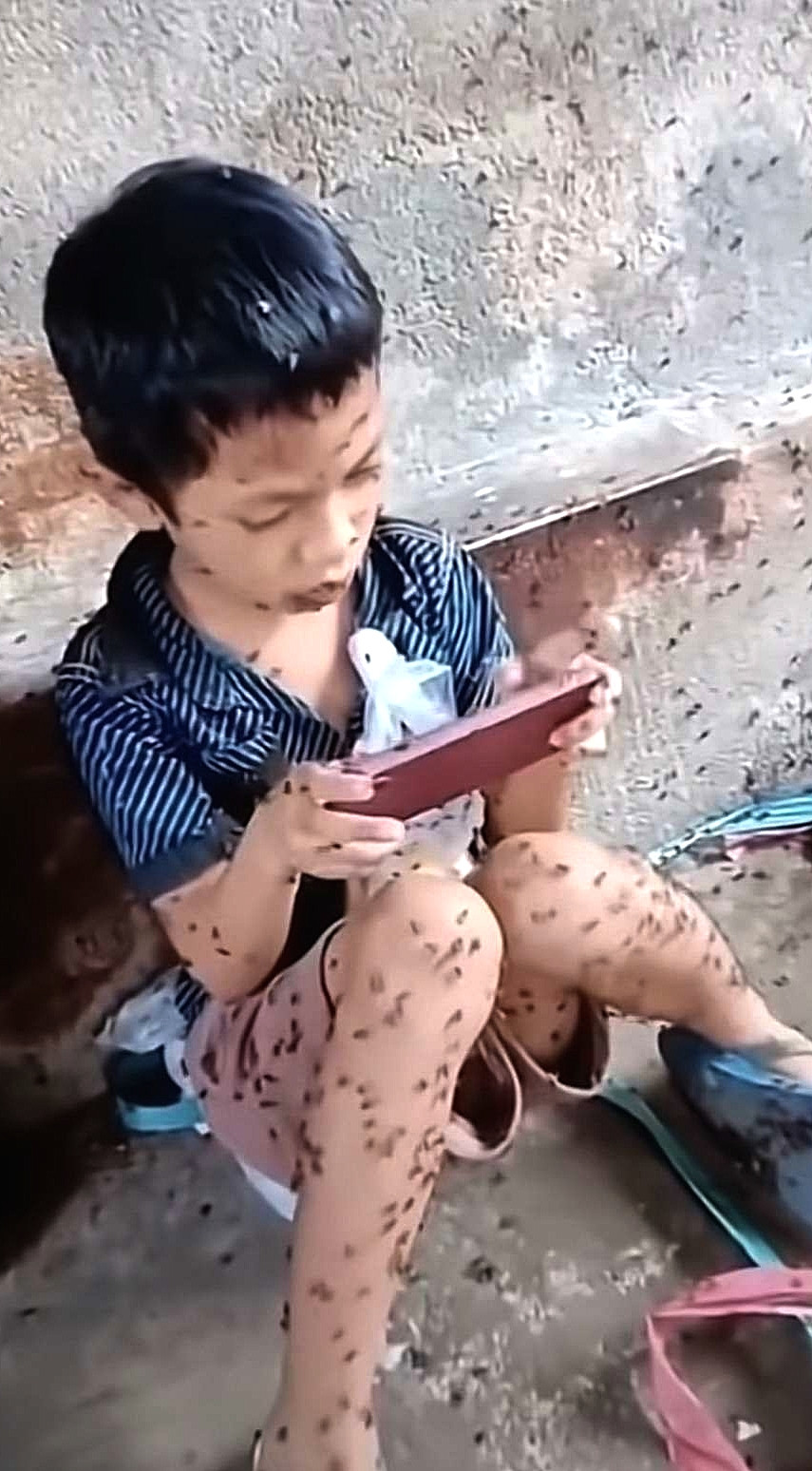 这个小孩哥这么招苍蝇喜欢吗？