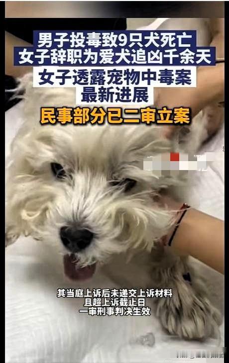 投毒者获刑四年，威胁恐吓再起，二审能否平息怒火？去年冬天北京那场投毒案，现在