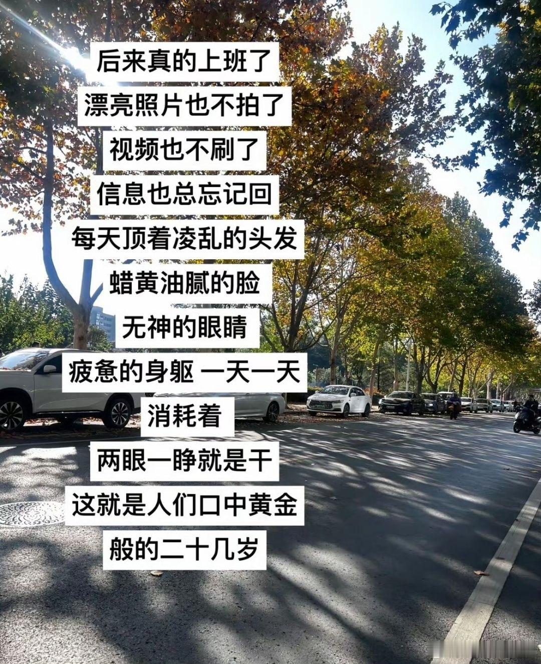 上了班才懂那句：“我已经很累了，你能不能不要再闹了”