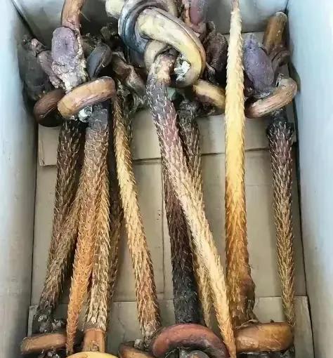 丈母娘出差给我带的补品