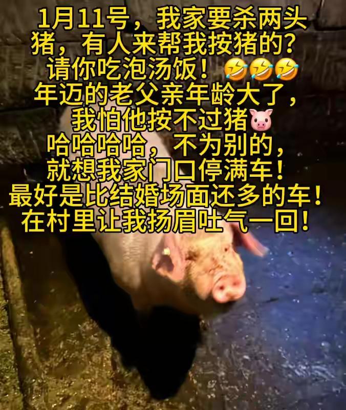 重庆合川的呆呆妹因为家里要杀年猪，担心年迈的父亲按不动猪，就在社交媒体上发帖求助