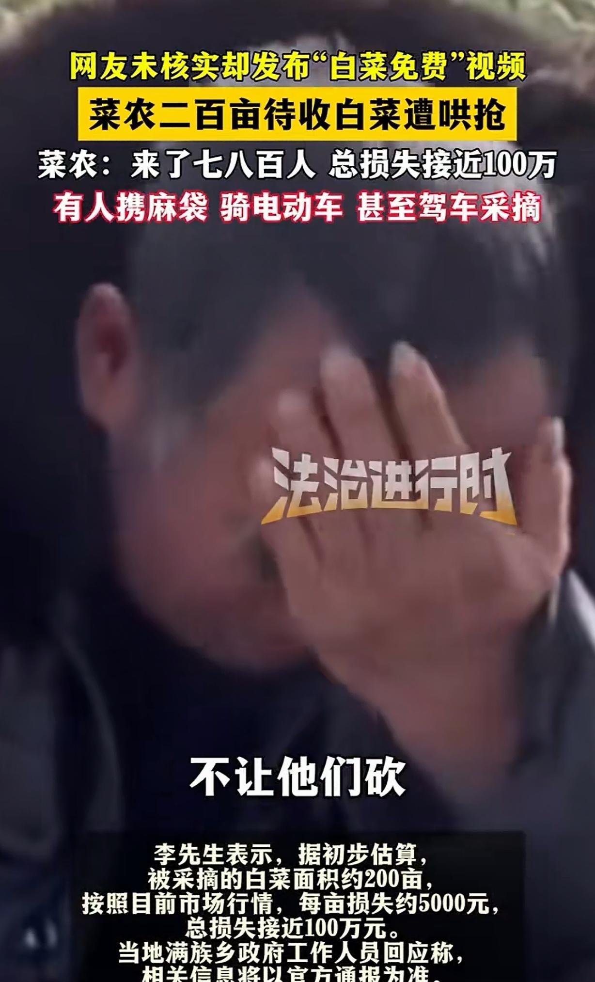 “这是什么世道！”内蒙古赤峰，男子承包了200亩地种大白菜，辛苦了一年，眼瞅着要