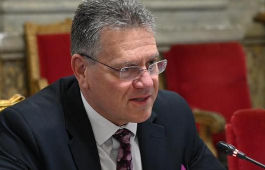 中国给欧盟稀土放行，欧洲这下开心了 当地时间12月15日，欧盟委员会贸易和经