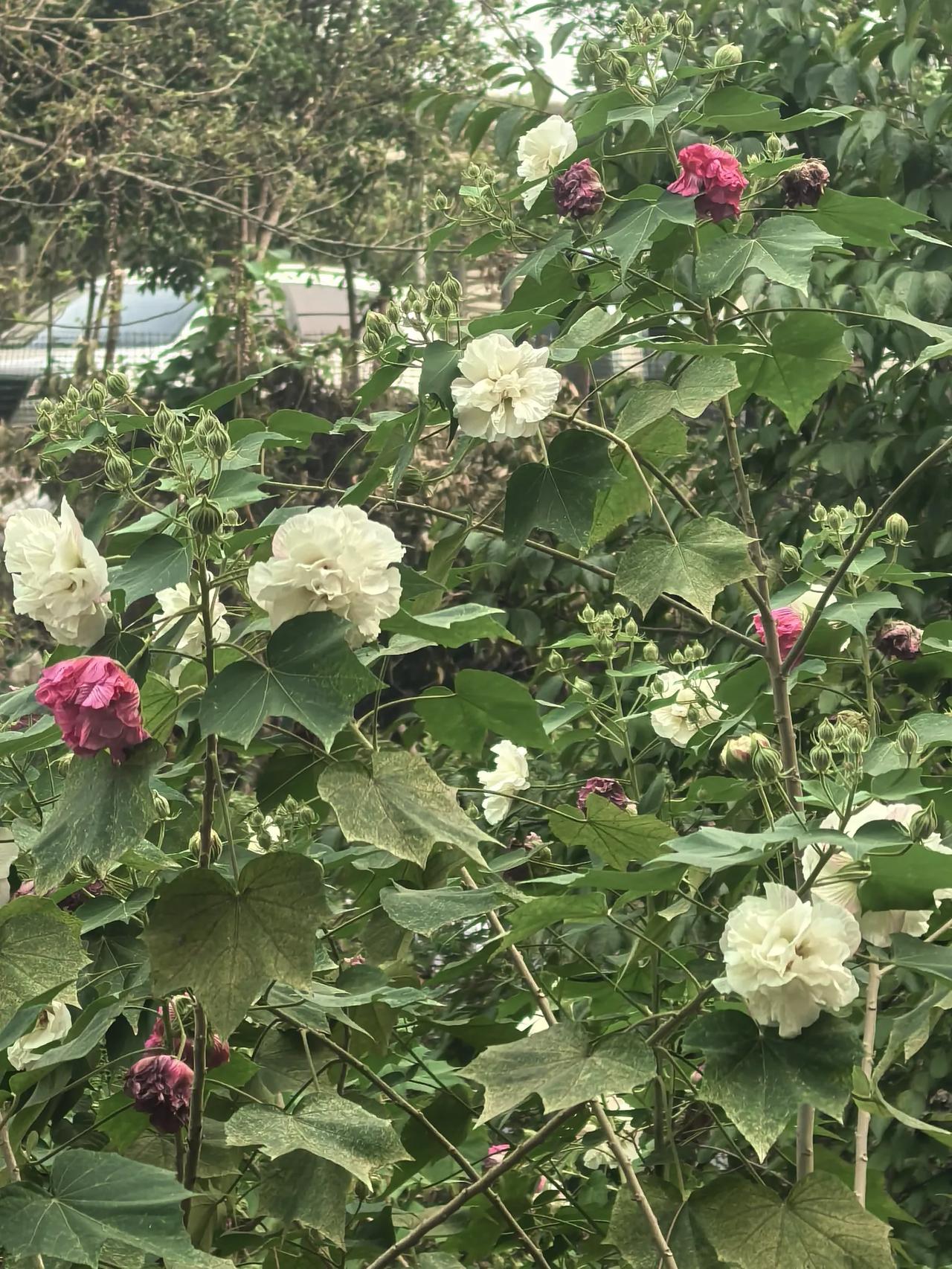 人，身体垮起来，速度快得你没法想象。我妈今年5月，送她去县城医院，能自己上下四