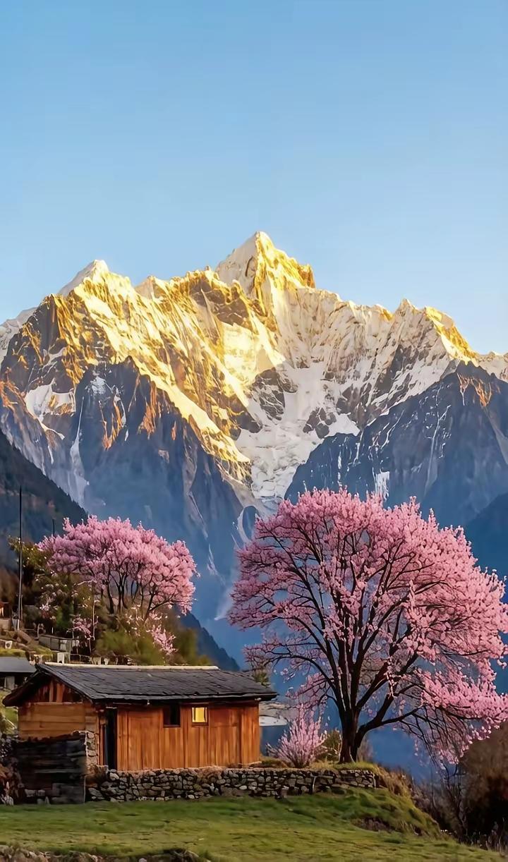 如何把握做人的度一、热情有度，不讨好1.待人真诚友善，但不卑微讨好、