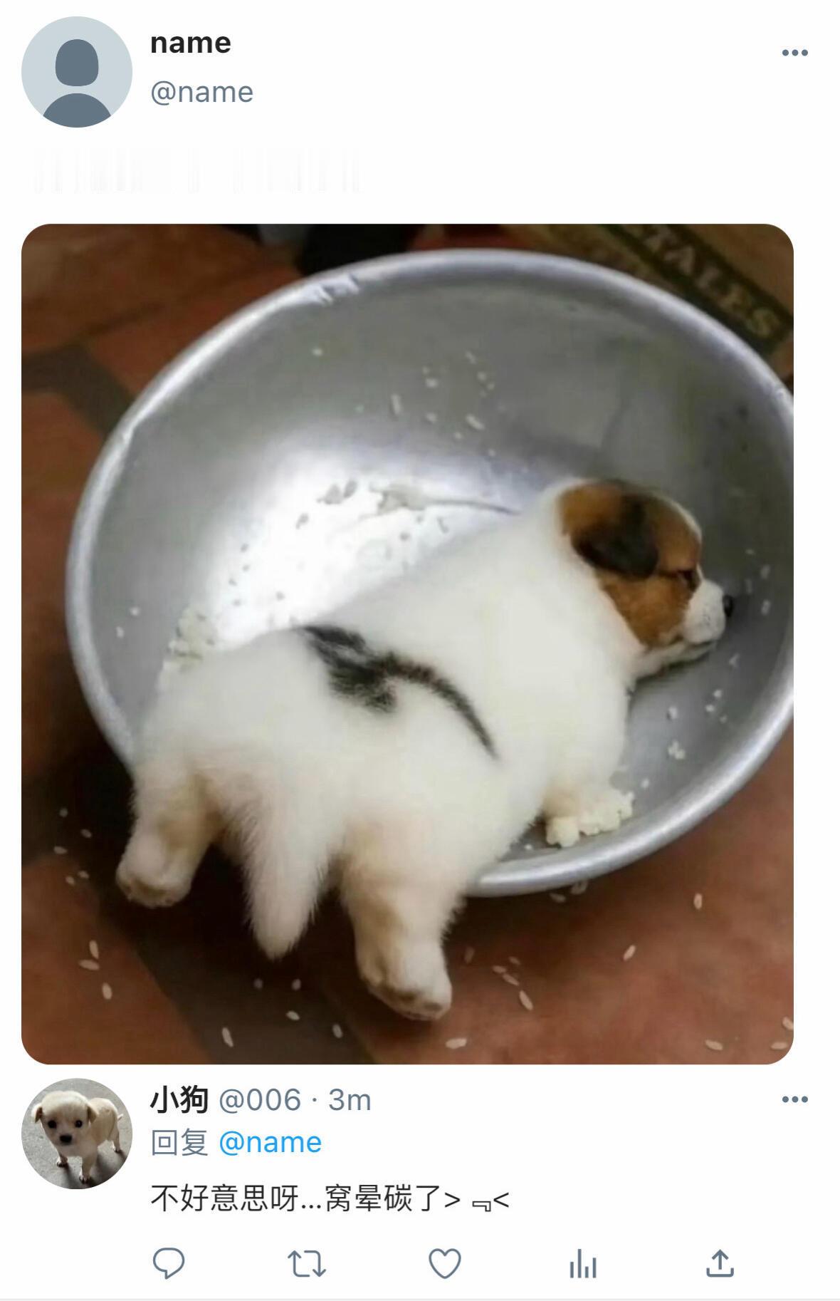新的一周摄入一些动物能量吧memes