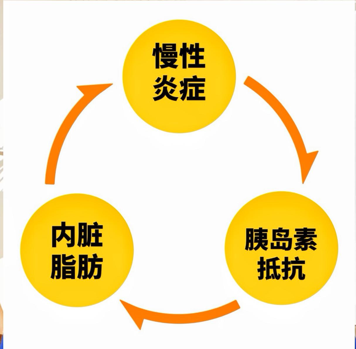 别再傻饿了！减肚子消内脏脂肪，这6种抗炎食物才是“王炸”！你是不是肚子一捏软