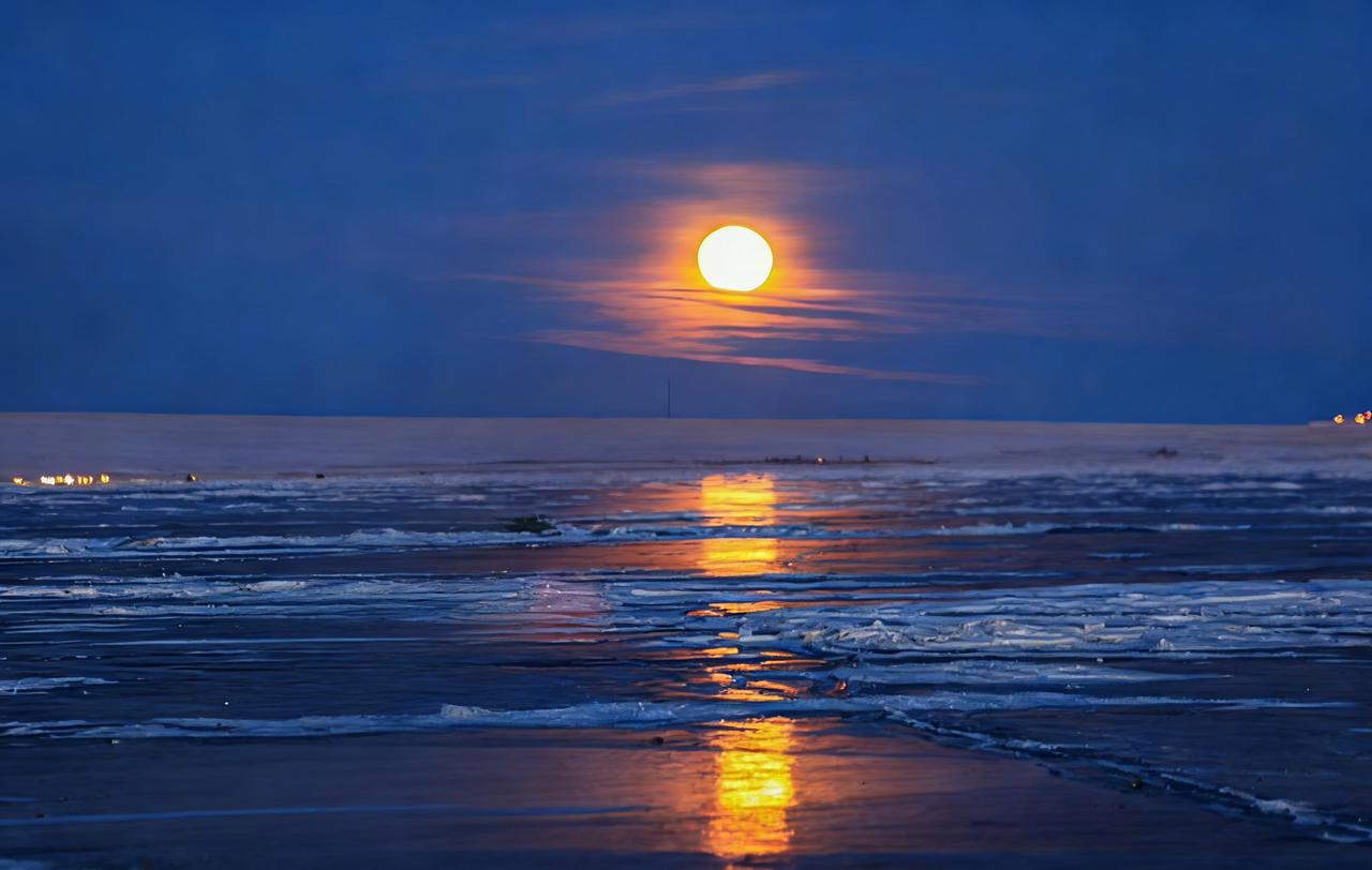 分享一张最近随手拍的照片