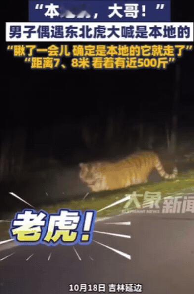 10月18日，吉林一女子晚上打车回家，结果，司机开到一偏僻处，突然停车！