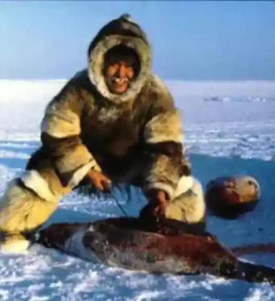 格陵兰岛原住民因纽特人，和中国人同属黄色人种。他们都是黄皮肤黑眼珠黑头发，基因研