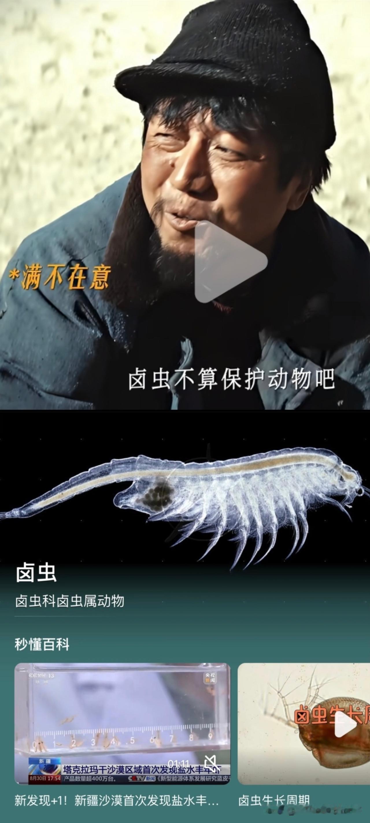 生命树里的卤虫盗捞从不是虚构，皆是可可西里的真实伤痕。1990年代末到200