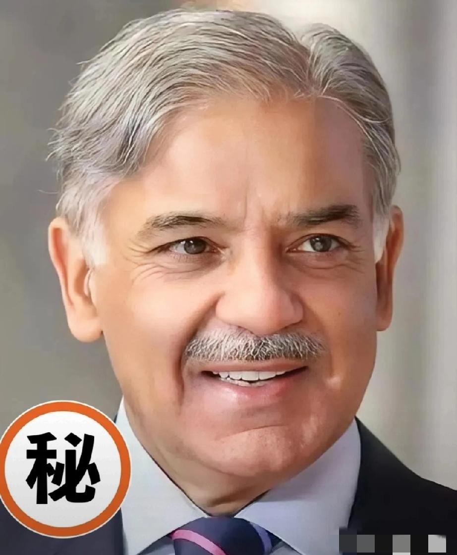 巴基斯坦把自己家门打开了巴基斯坦已正式批准伊朗通过其领土与第三方国家开展贸易