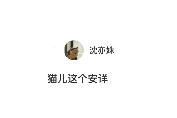 小猫为什么不用去上班！！​​​